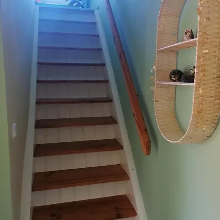 Bergwitzer Traumhaus