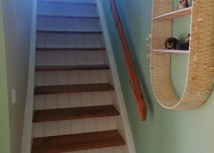 Bergwitzer Traumhaus